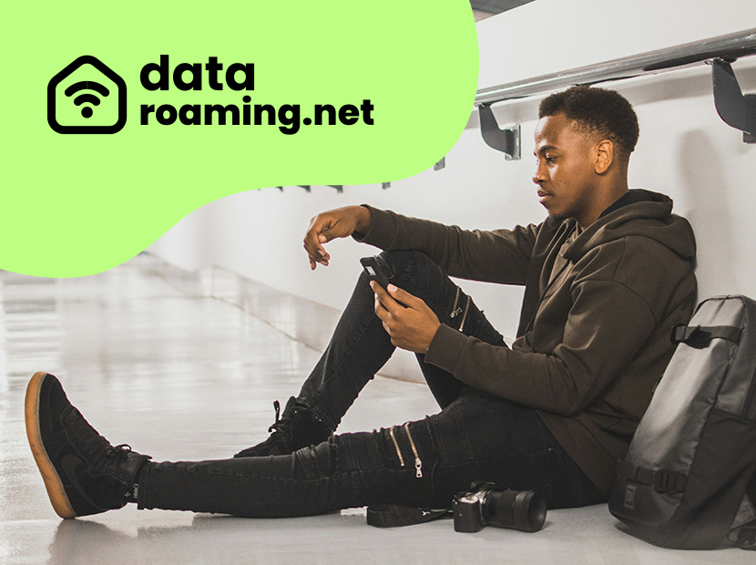 Data roaming system